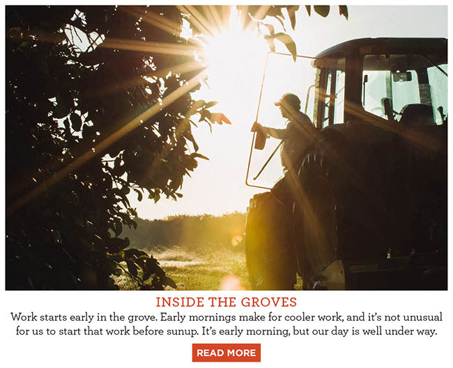 Hale Groves A Look Inside the Groves August Hale Groves Update Milled