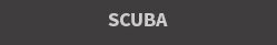 Scuba Divers