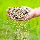 Fertilizer