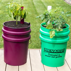 Self-Watering Bucket Garden