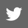 Twitter Twitter