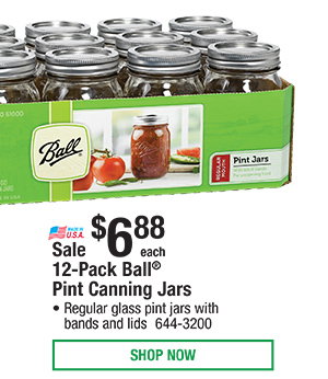 12-Pack Pint Canning Jars