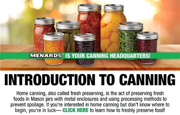 Introduction to Canning