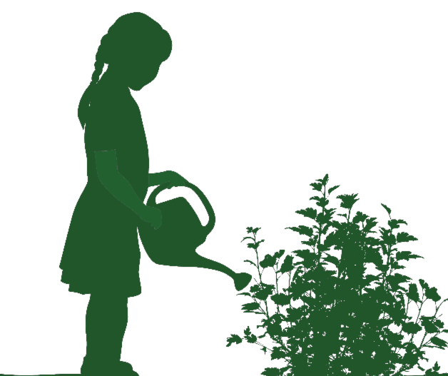 Girl watering green