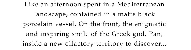 Like an afternoon spent in a Mediterranean landscape, contained in a matte black porcelain vessel. On the front, the enigmatic and inspiring smile of the Greek god, Pan, inside a new olfactory territory to discover...