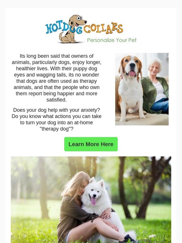 Does Having A Dog 🐶 Help Fix Anxiety? Milled