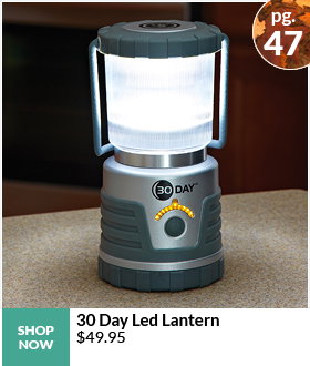 30 DAY LED LANTERN