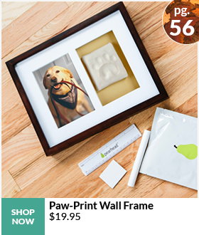 PAW-PRINT WALL FRAME