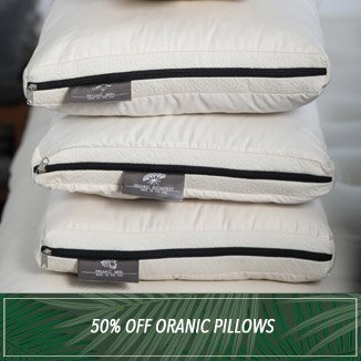 Organic Bed Pillows