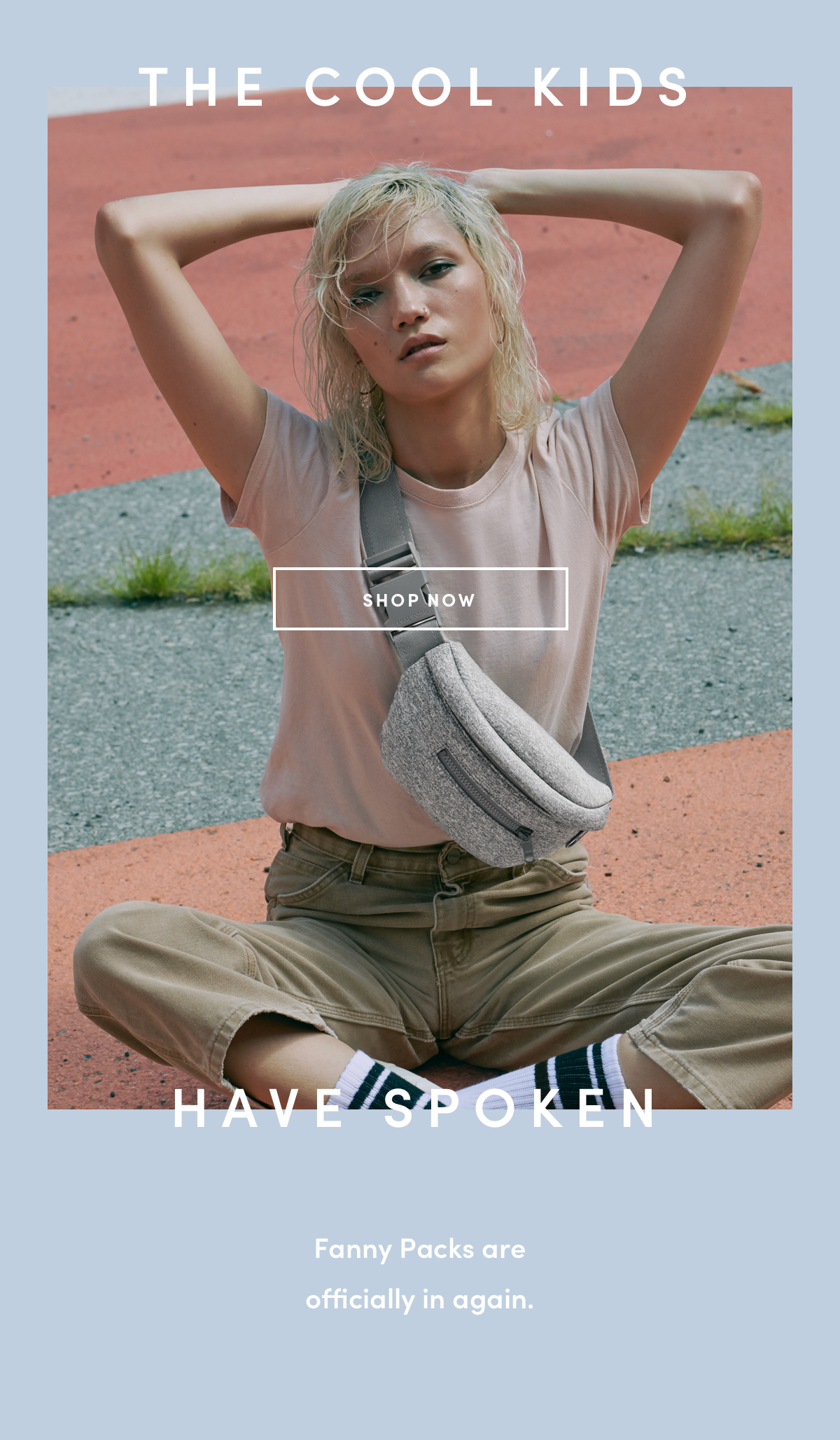 dagne dover fanny pack