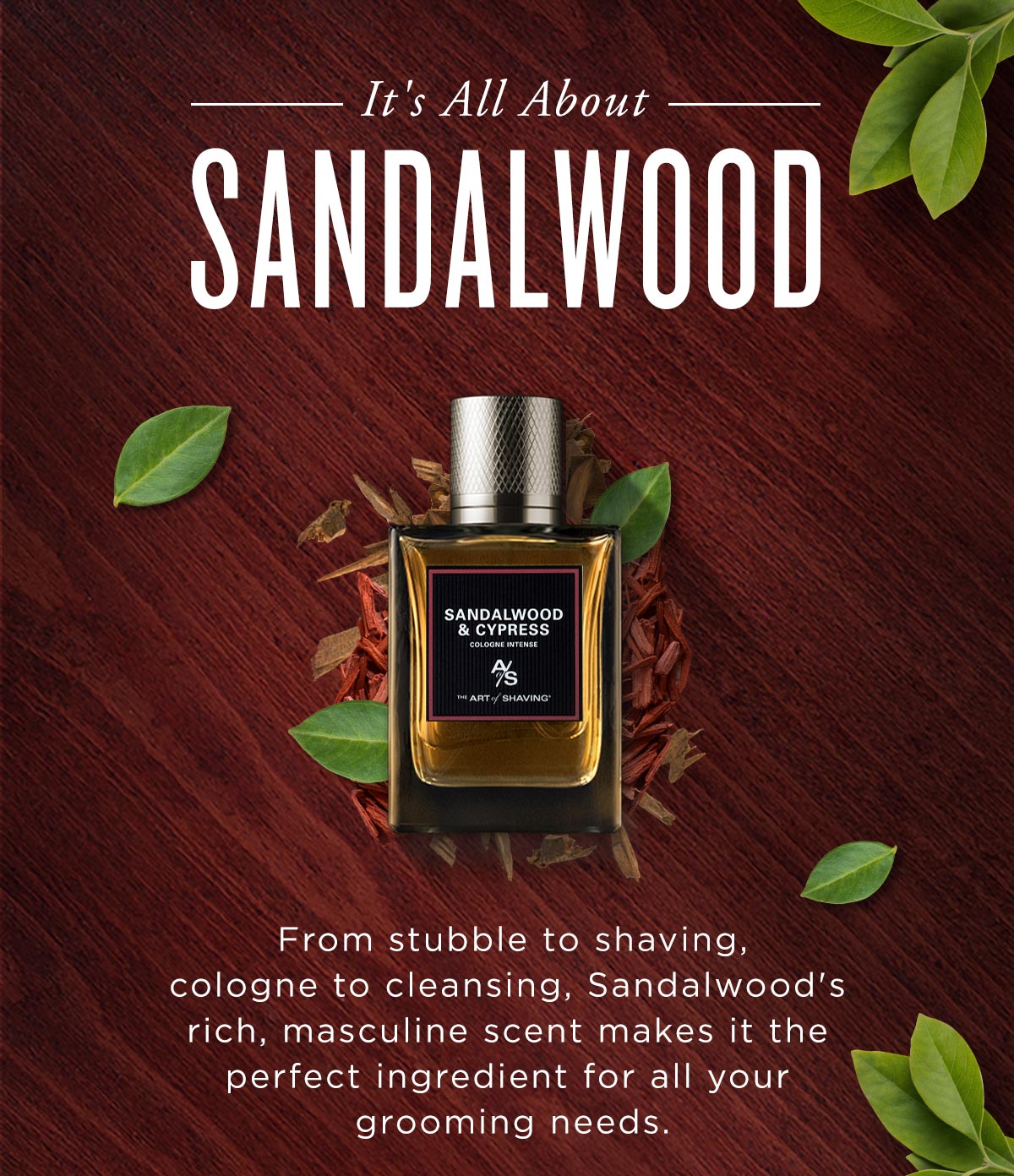 the art of shaving sandalwood cologne