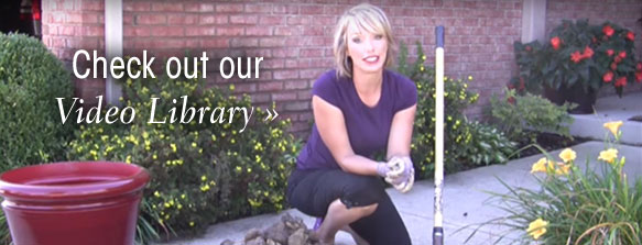 Check out our video library