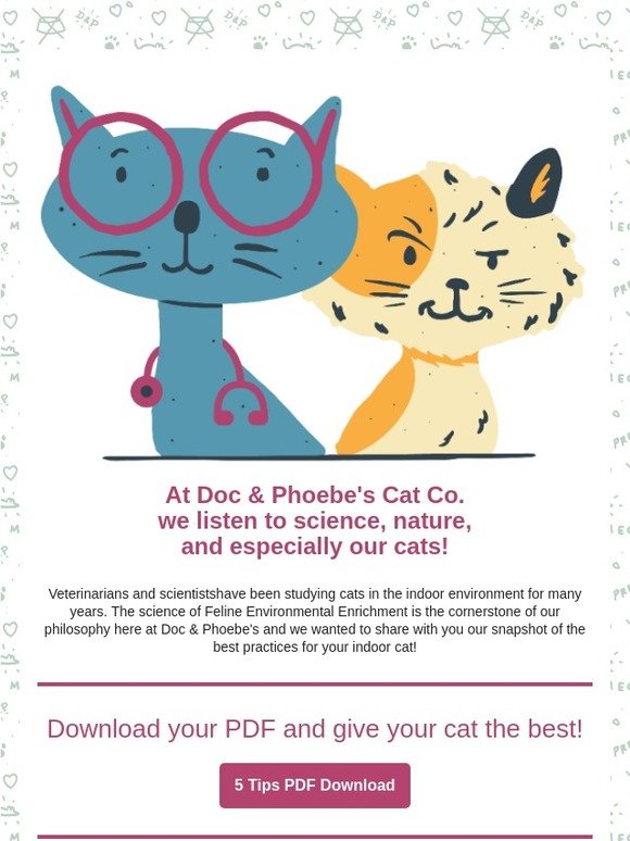 5 Things You Can Do for Your Cat Today!