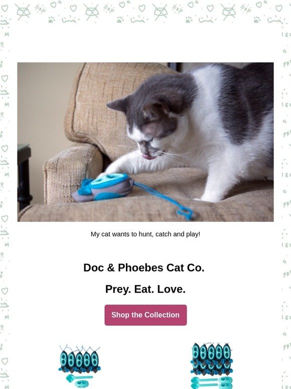 What is your cat doing for fun these days?