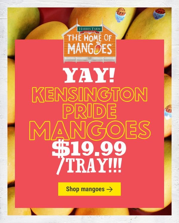 KP Mango Trays ... $19.99 each!
