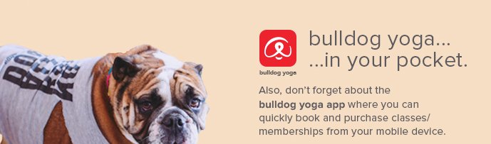 bulldog yoga in your pocket