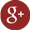 Google Plus
