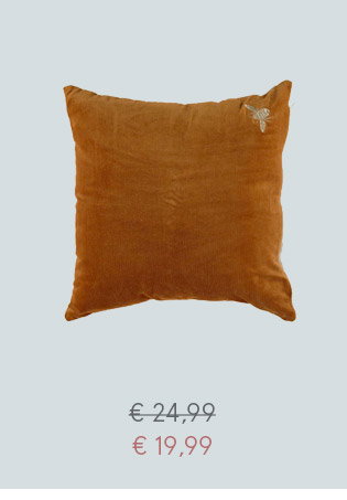 Kussen Bij