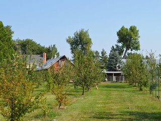 The Best Places to Go Apple Picking in the U.S.