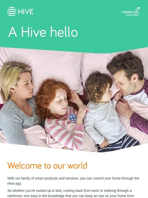 Welcome to the world of Hive