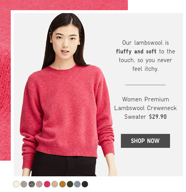 uniqlo premium lambswool