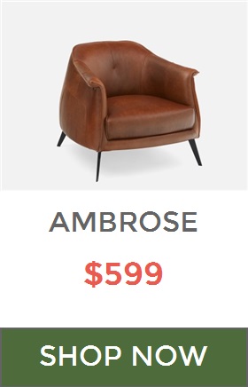 structube ambrose chair