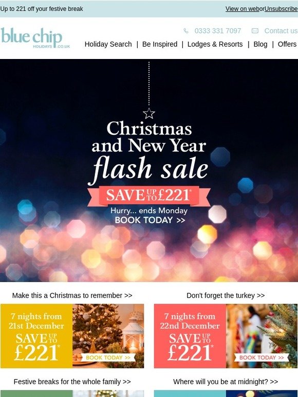 new year flash sale