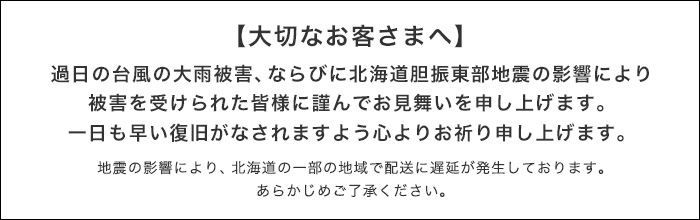 ランズエンド Lands End Jp レディス人気の定番が15 Off このメールを受け取られたお客様だけの お得なキャンペーンのご案内です Milled