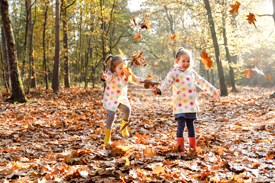 Herfst