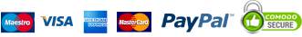 Secure internet payment options