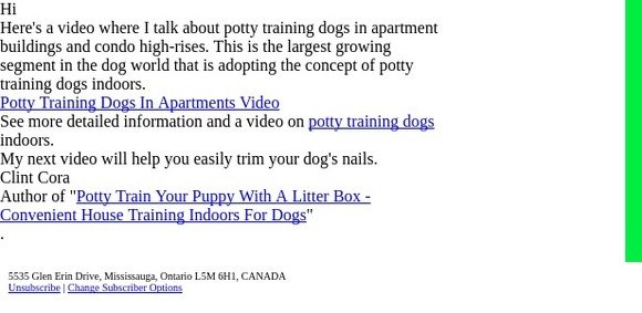 [VIDEO] Potty Training Dogs In Apartments & Highrises