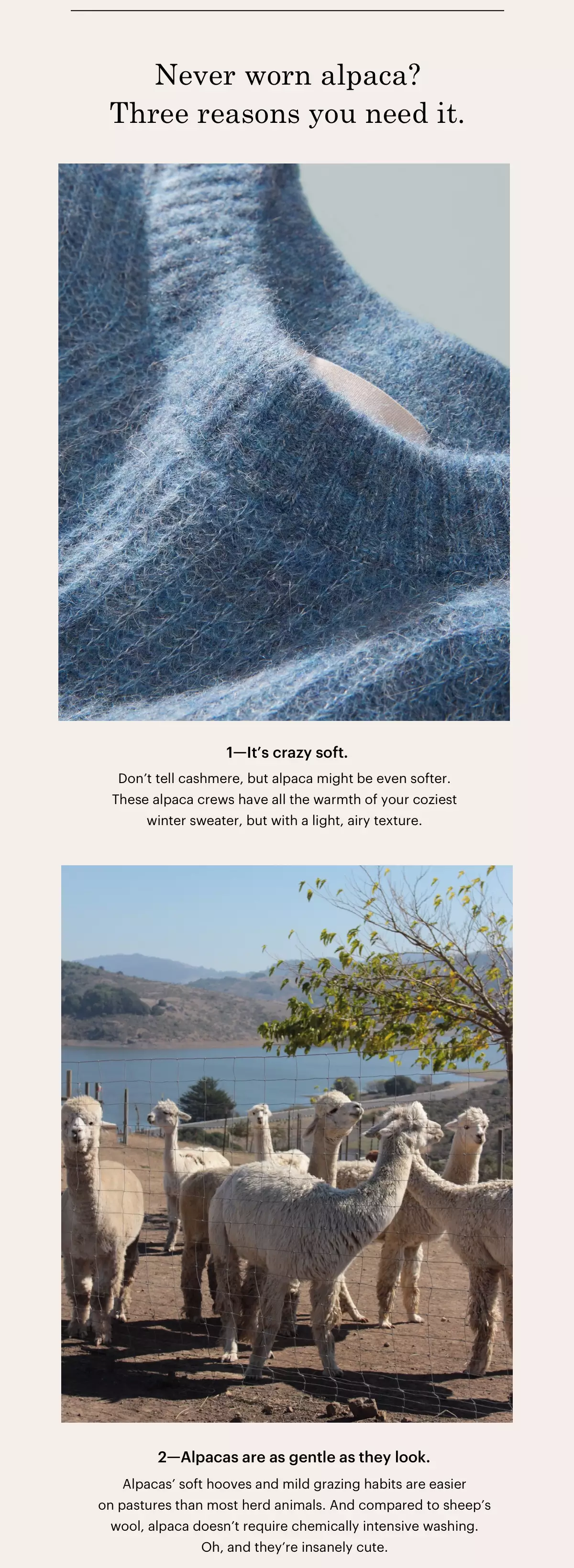 Never worn alpaca? Three reasons you need it.