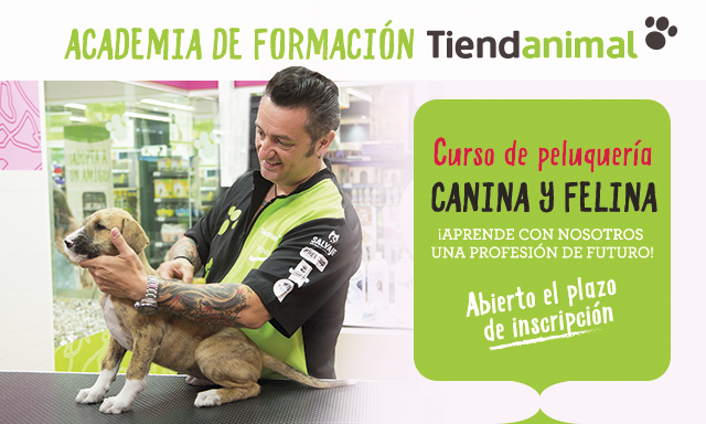 tiendanimal.es Conoces nuestro curso de peluquer a canina