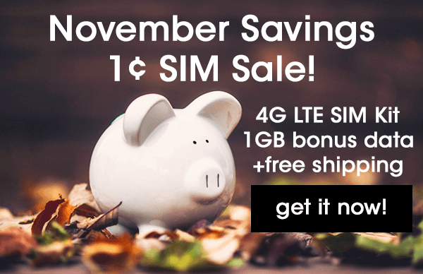 November Penny SIM Sale!