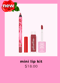 mini lip kit
