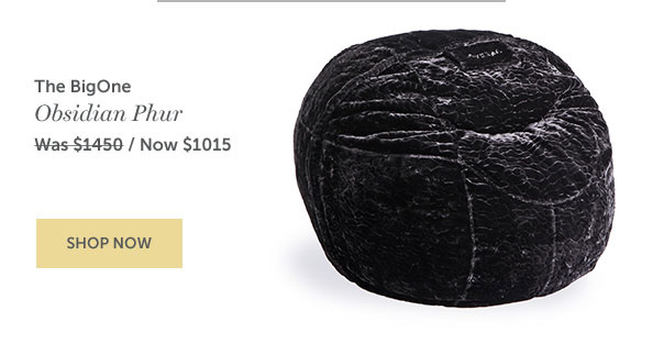 The BigOne | NOW $1015 | SHOP NOW >>