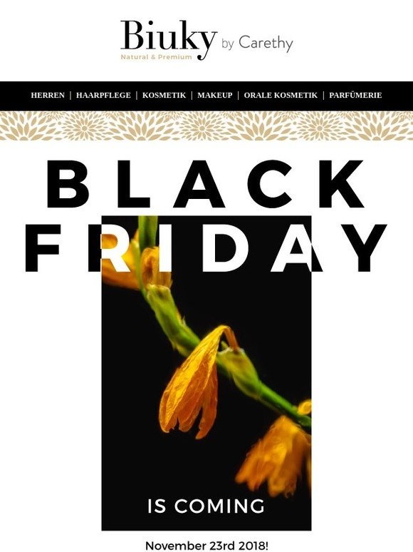 🖤 THE BLACK FRIDAY IS COMING