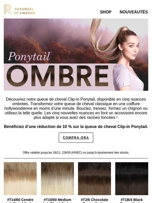 NOUVEAUTÉ ! La queue de cheval à effet ombré