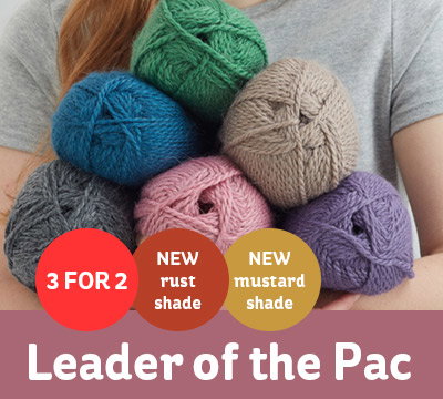 leader of the pac aran yarn