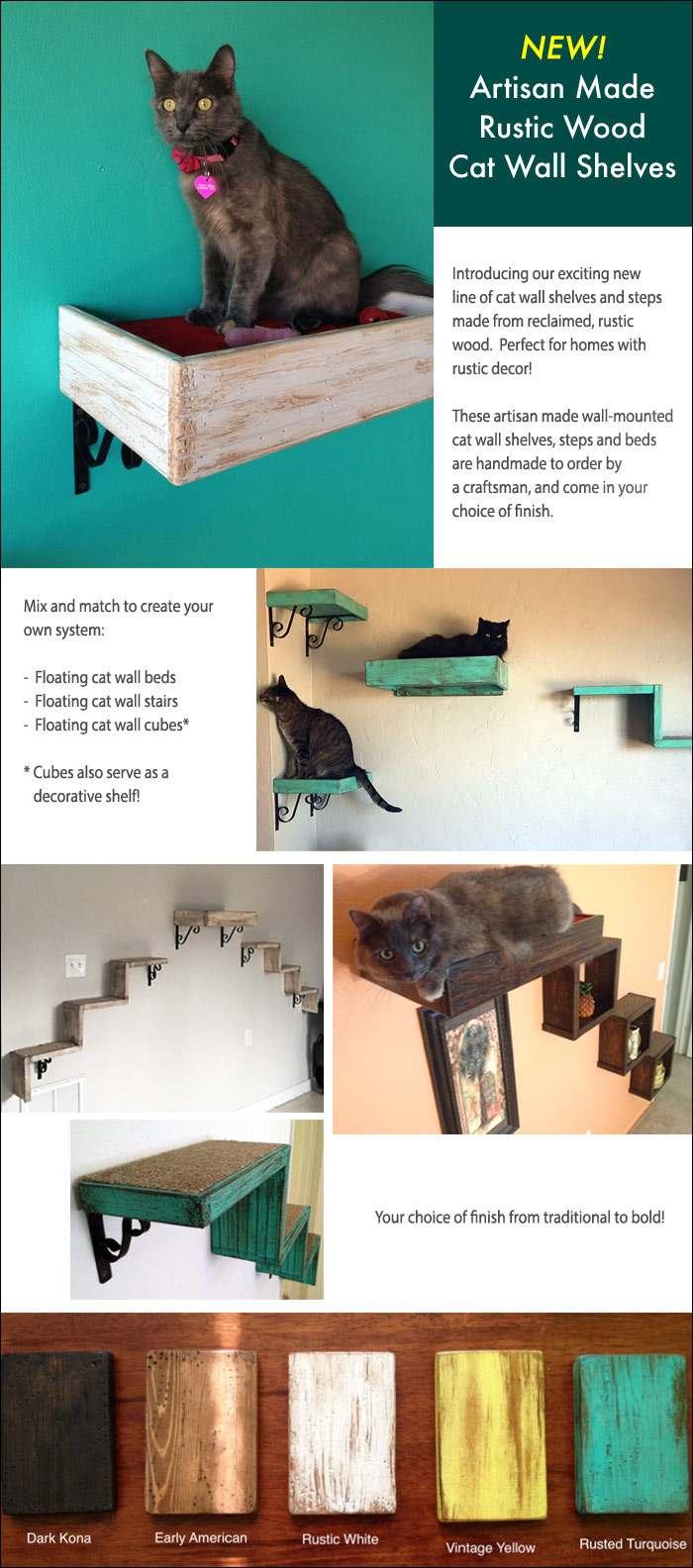 cat shelf system