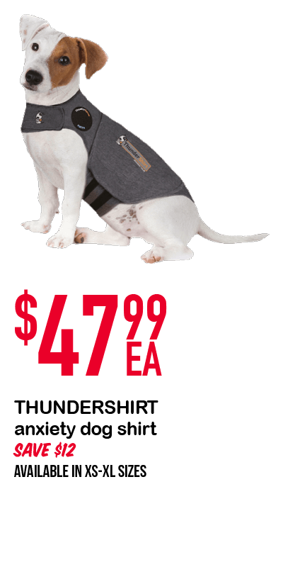 thundershirt petstock