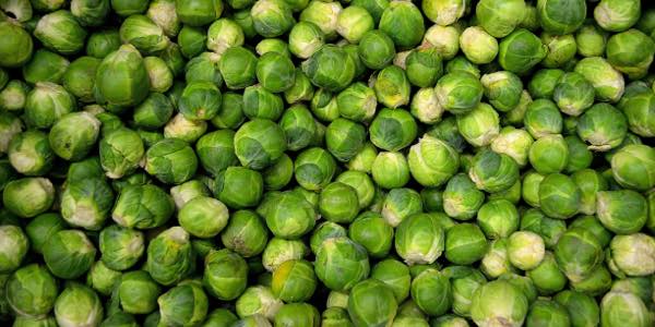 Rosenkohl - Tipps und Tricks