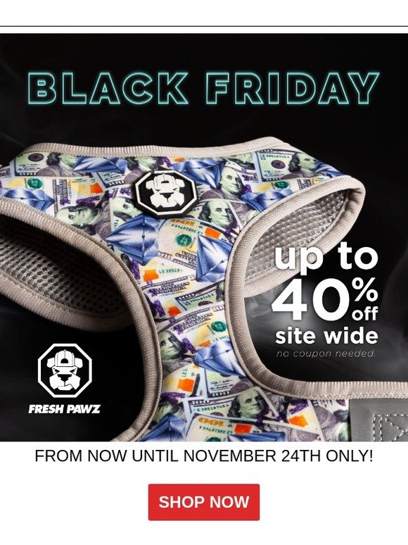 BLACK FRIDAY IS HERE! YOU GET UP TO 40% OFF.