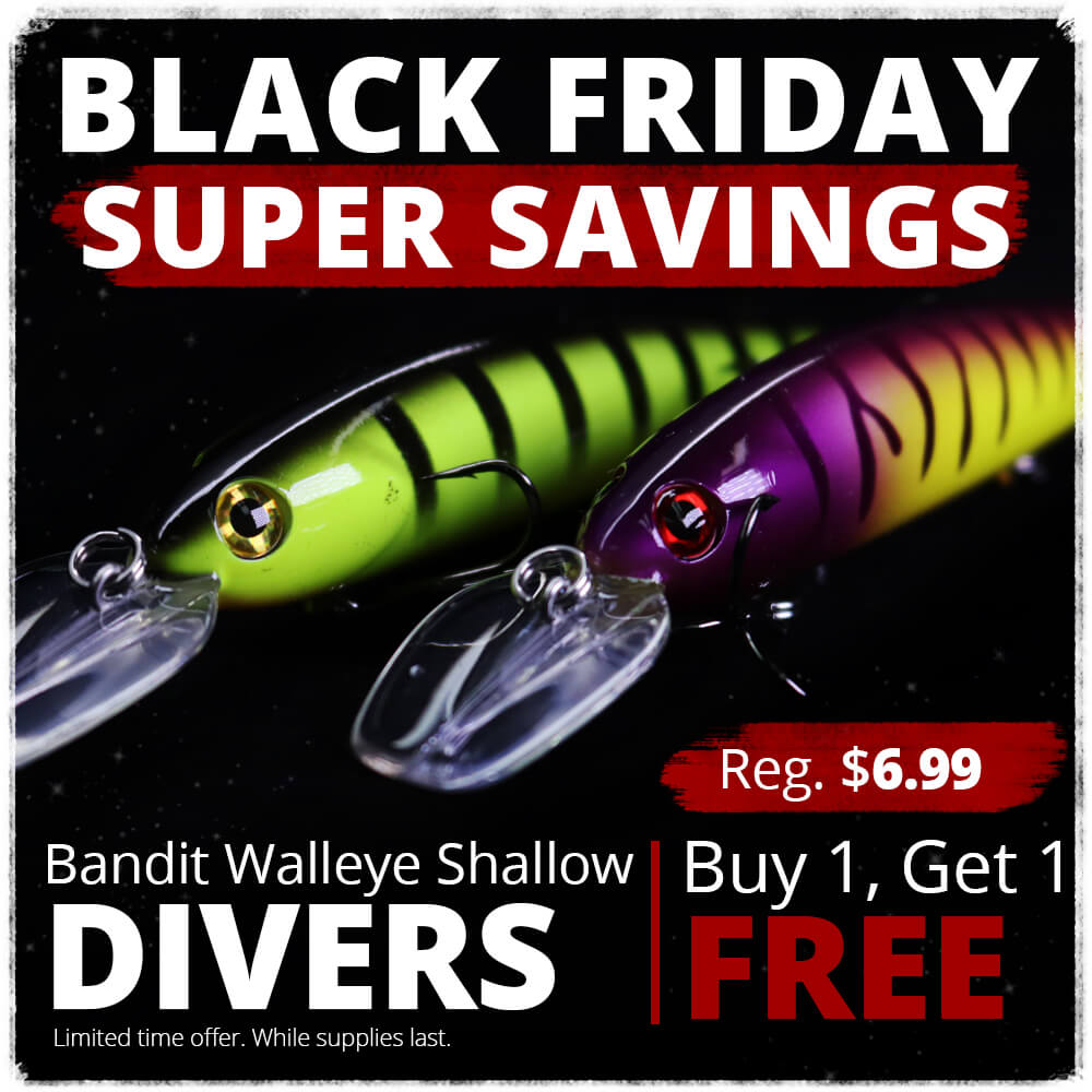 bandit walleye shallow