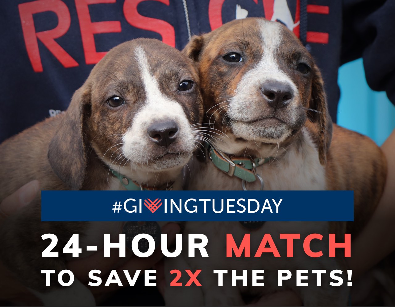 24-Hour Match to Save 2x the Pets!