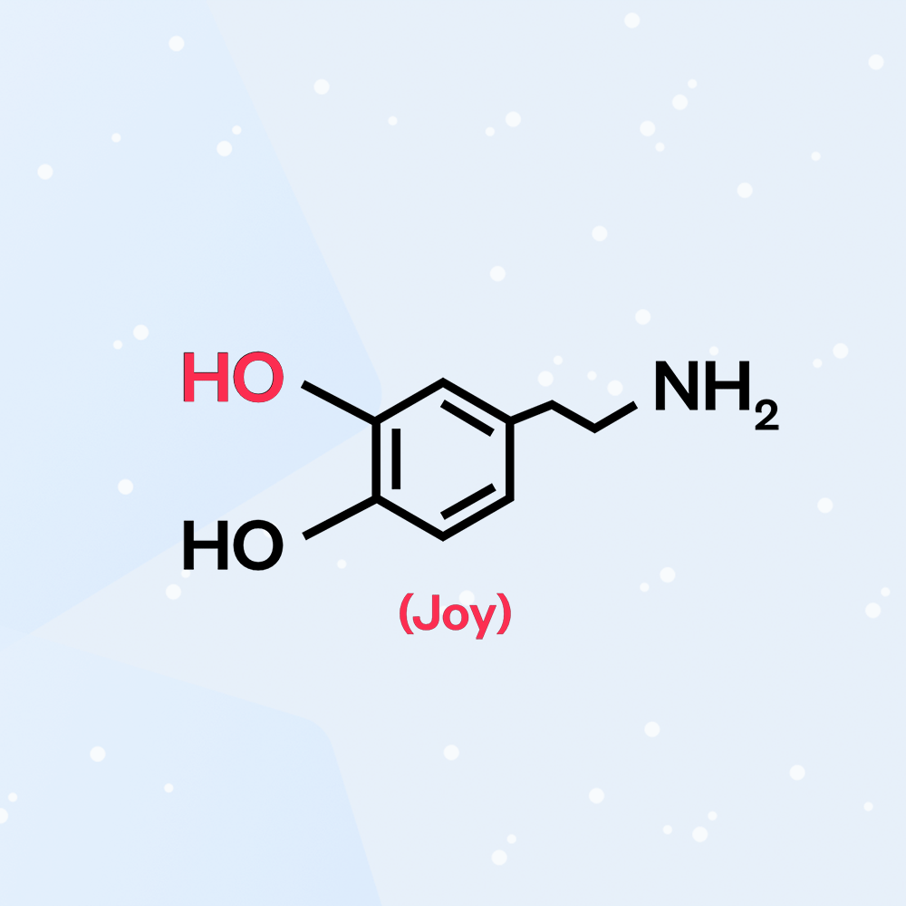 Ministry of Supply HO, HO, NH2 News and New Arrivals This Month Milled