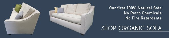 Organic Sofa