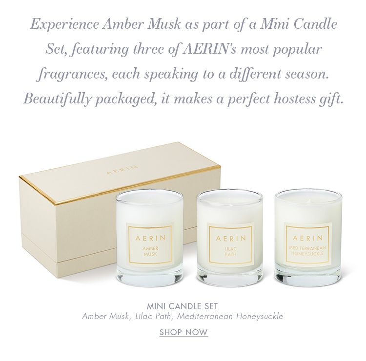 Aerin Amber Musk Candle 2024 ozogama.lt