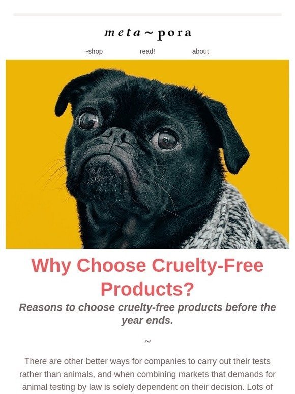 why choose cruelty-free products?