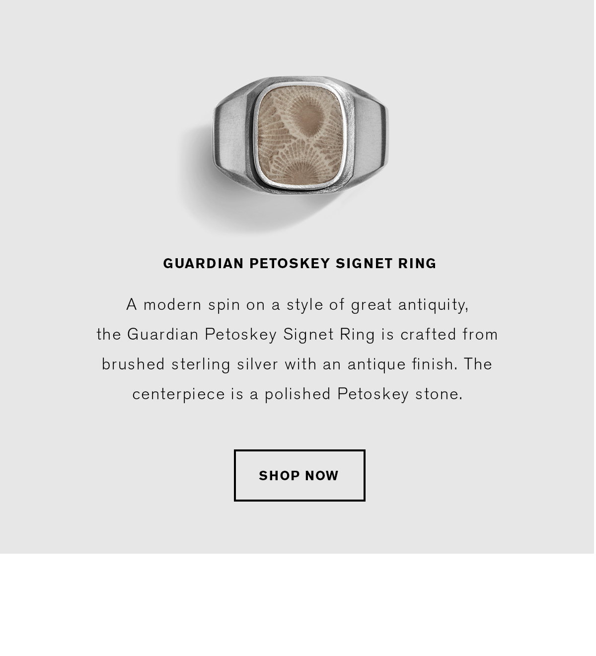 Shop The Guardian Petoskey Signet Ring